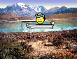 Fisch Smilies (9) Smiley – Fisch